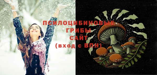 мет Аркадак