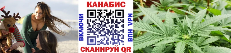 Канабис семена  наркотики  Глазов 